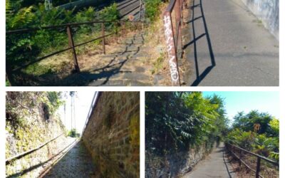 Posttreppe und Wingertspfädchen wieder begehbar