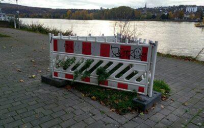 SPD Ortsverein erinnert Stadt an Ersatzpflanzung am Leinpfad